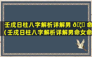 壬戌日柱八字解析详解男 🦊 命（壬戌日柱八字解析详解男命女命）